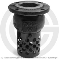 Клапан обратный осевой приемный с сеткой чугунный фланцевый Ду-50 Ру-2,5 (Т<50°С) 16ч42р Луидор Клапан обратный осевой приемный с сеткой чугунный фланцевый Ду-50 Ру-2,5 (Т<50°С) 16ч42р Луидор