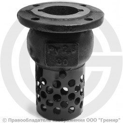 Клапан обратный осевой приемный с сеткой чугунный фланцевый Ду-80 Ру-2,5 (Т<50°С) 16ч42р Луидор