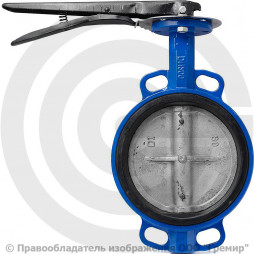 Затвор дисковый поворотный межфланцевый Ду-250 Ру-10/16 EPDM с чугунным диском Китай