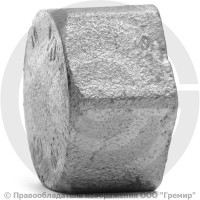 Заглушка чугунная оцинкованная ВР (ВН) Ду 32 (1 1/4") Заглушка чугунная оцинкованная ВР (ВН) Ду 32 (1 1/4")