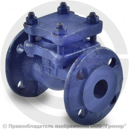Клапан обратный подъемный чугунный фланцевый Ду-50 Ру-25 (Т<300°С) 16кч9нж Луидор