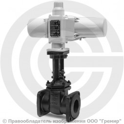 Задвижка чугунная фланцевая Ду-80 Ру-10/16 (Т<225°С) 30ч906бр ЛМЗ с электроприводом ГЗ-А.70/24 (380 В)