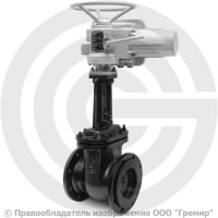 Задвижка чугунная фланцевая Ду-125 Ру-10/16 (Т<225°С) 30ч906бр ЛМЗ с электроприводом ГЗ-А.100/24 (380 В) Задвижка чугунная фланцевая Ду-125 Ру-10/16 (Т<225°С) 30ч906бр ЛМЗ с электроприводом ГЗ-А.100/24 (380 В)