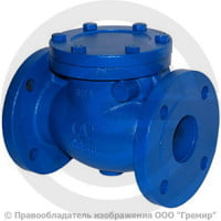 Клапан обратный поворотный чугунный фланцевый Ду-150 RD30 АДЛ Гранлок Клапан обратный поворотный чугунный фланцевый Ду-150 RD30 АДЛ Гранлок