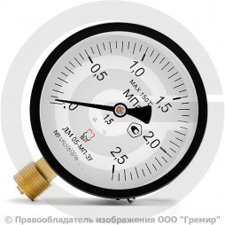 Манометр радиальный диаметр 100мм 0-25 кгс/см2 (0-2,5 МПа) G1/2" ДМ05-МП-3У Стеклоприбор