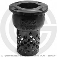 Клапан обратный приемный с сеткой чугунный фланцевый Ду-400 Ру-2,5 (Т<50°С) 16ч42р Луидор Клапан обратный приемный с сеткой чугунный фланцевый Ду-400 Ру-2,5 (Т<50°С) 16ч42р Луидор