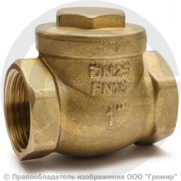 Клапан обратный поворотный латунный Ду-50 (2") Ру-16 ВР (ВН) (Т<110°С) латунь N6 Giacomini