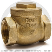 Клапан обратный поворотный латунный Ду-80 (3") Ру-16 ВР (ВН) (Т<110°С) латунь N6 Giacomini Клапан обратный поворотный латунный Ду-80 (3") Ру-16 ВР (ВН) (Т<110°С) латунь N6 Giacomini