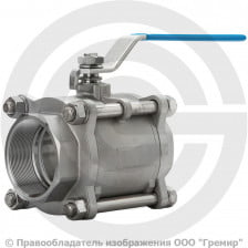 Кран нержавеющий AISI 316 (CF8M) Ду-100 (4") Ру-40 ВР (ВН) муфтовый полнопроходной АДЛ BV17
