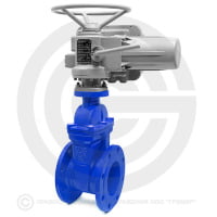 Задвижка чугунная фланцевая Ду-250 Ру-10 (Т<150°С) 30ч939р с электроприводом (380 В) Задвижка чугунная фланцевая Ду-250 Ру-10 (Т<150°С) 30ч939р с электроприводом (380 В)