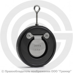 Клапан обратный одностворчатый стальной межфланцевый Ду-100 Ру-16 (Т<110°С) диск нерж Benarmo