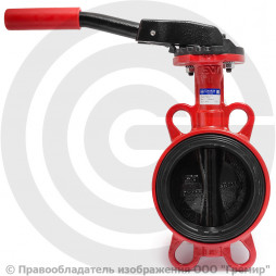 Затвор дисковый поворотный межфланцевый Ду-32 Ру-16 EPDM HT с чугунным диском АДЛ Гранвэл ЗПТС-FL(W)-MN-HT