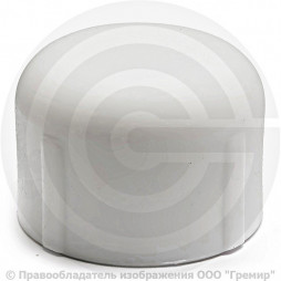 Заглушка PP-R белая Дн 25 Pro Aqua