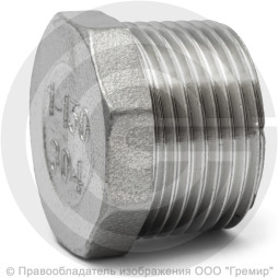 Заглушка нержавеющая AISI 304 6-ти гранная НР (НАР) Ду-6 (1/8")