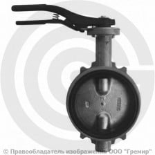 Затвор дисковый поворотный межфланцевый Ду-40 Ру-16 с чугунным диском Giacomini R59W
