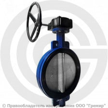 Затвор дисковый поворотный межфланцевый с редуктором Ду-900 Ру-10 EPDM HT с чугунным диском Tecofi VPE4408-08EP