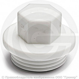 Заглушка PP-R белая НР (НАР) Дн 3/4" Pro Aqua