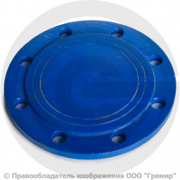 Заглушка фланцевая ЗФ Ду-50 эпокси ГОСТ ISO 2531-2012