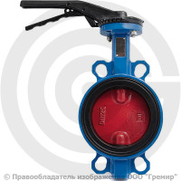 Затвор дисковый поворотный межфланцевый Ду-125 Ру-16 EPDM с чугунным диском Tecofi VPI4448-02EP Затвор дисковый поворотный межфланцевый Ду-125 Ру-16 EPDM с чугунным диском Tecofi VPI4448-02EP
