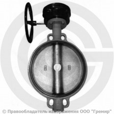 Затвор дисковый поворотный межфланцевый с редуктором Ду-450 Ру-16 с чугунным диском Giacomini R59W