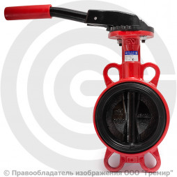Затвор дисковый поворотный межфланцевый Ду-100 Ру-16 EPDM с чугунным диском АДЛ Гранвэл ЗПВС-FL(W)-MN-E