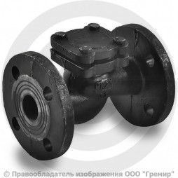 Клапан обратный подъемный чугунный фланцевый Ду-50 Ру-25 (Т<200°С) 16кч9нж