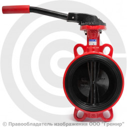 Затвор дисковый поворотный межфланцевый Ду-200 Ру-16 EPDM с чугунным диском АДЛ Гранвэл ЗПВС-FL(W)-MR-E