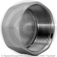 Заглушка нержавеющая AISI 304 6-ти гранная ВР (ВН) Ду-40 (1 1/2") Заглушка нержавеющая AISI 304 6-ти гранная ВР (ВН) Ду-40 (1 1/2")